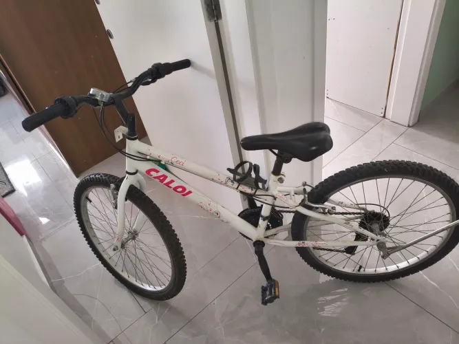 Bicicleta aro 21