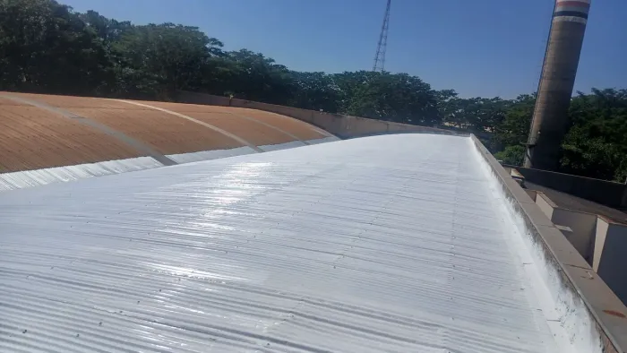 Revitalização e Impermeabilização de telhado industrial