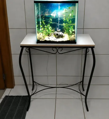 Aquário 32 litros Completo 
