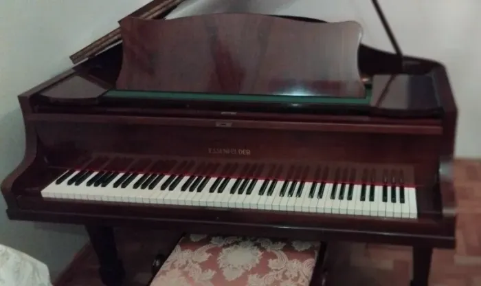 Piano Essenfelder 1/4 de cauda