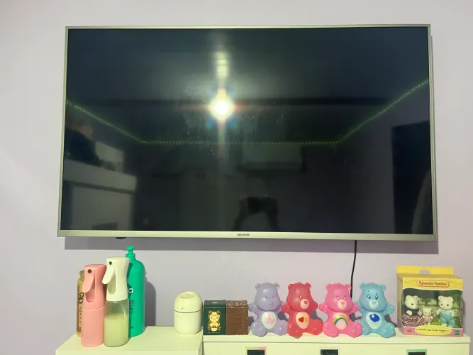 TV 49 polegadas com display queimado
