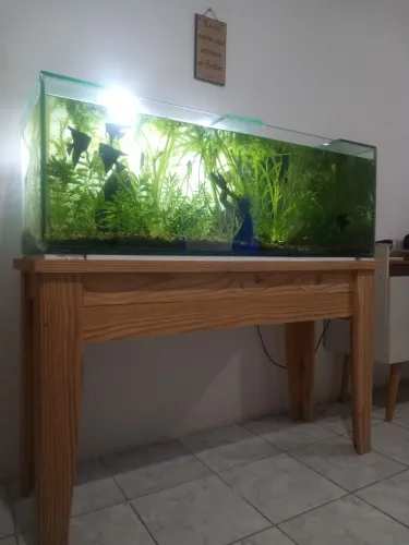 Vendo aquário com filtro cascata, luminária em led dupla, cascalhos, com mesa de paletes.