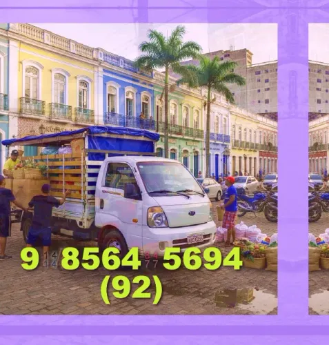 Frete rápido e seguro para sua mudança em Manaus? Fale já!