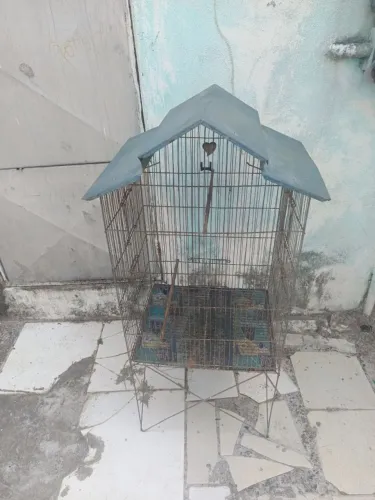 Viveiro por 110 reais tem conversa.