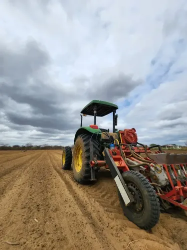 fazenda com 36 hectares na região de Jandaia com uma excelente estrutura irrigação