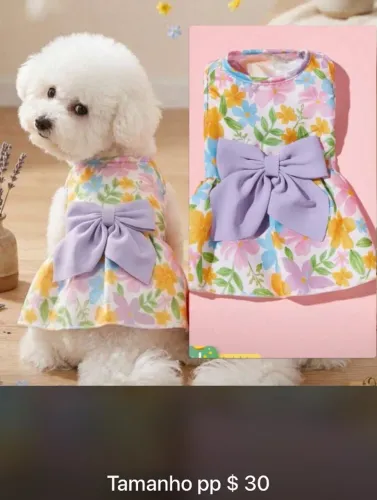 Itens para pet