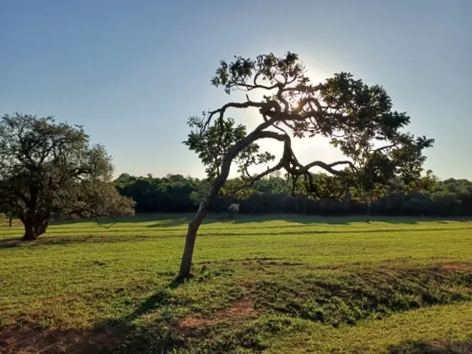 Linda Propriedade Rural