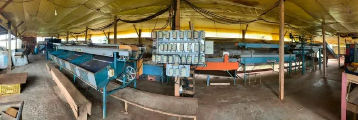 Vende-se máquina USADA, ano 2012, para limpeza e processamento de laranjas