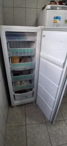 Freezer vertical