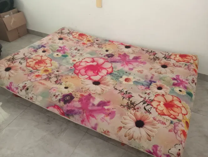 Vendo Sofá-cama / Clic-clac