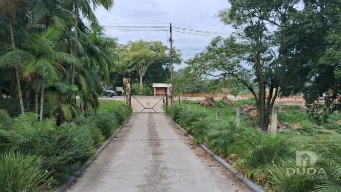 Sítio à Venda em Cocal do Sul