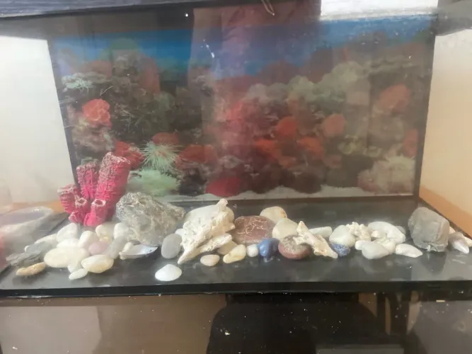Aquario 120 litros