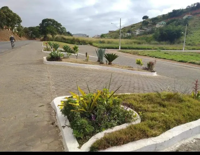 LOTE 