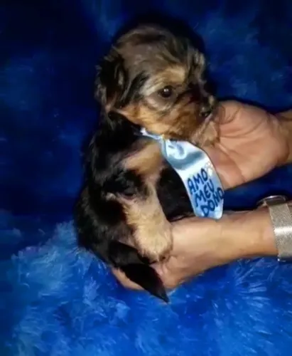 Menino de Porte Pequeno. (Aceito cartão)