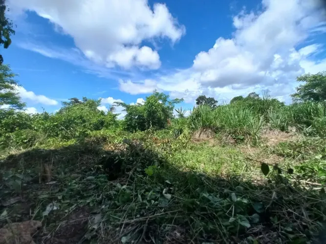 Vende se chácara em Tabocal Santarém