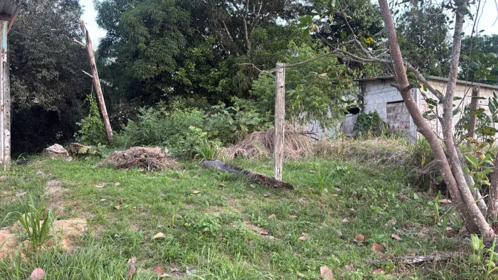 Vendo terreno no ramal do brasileirinho