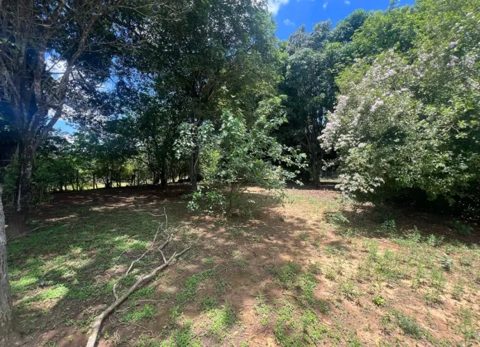 Vendo Terreno Urbano Escriturado Bairro Cervo - 1350 m2