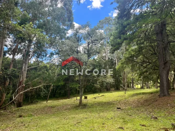 Chácara em São Chico - Salto Eletra - São Francisco de Paula/RS