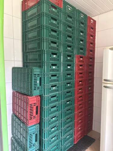 Caixa plástica hortifruti 23l