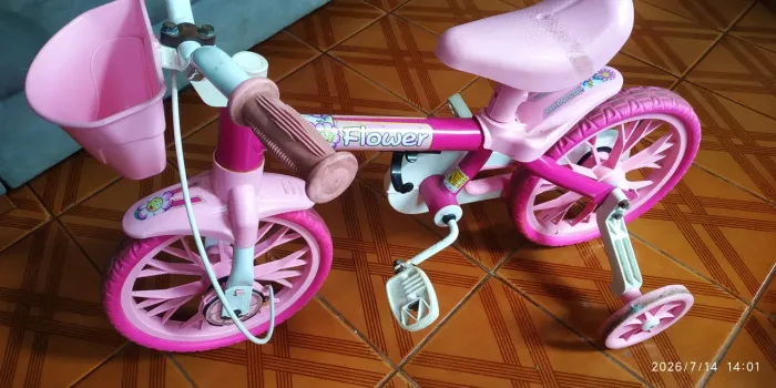 Bicicleta Flower R$100