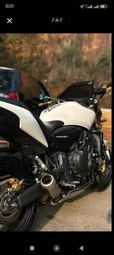Hornet