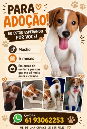 DOAÇÃO FILHOTE 