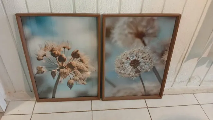 Quadros