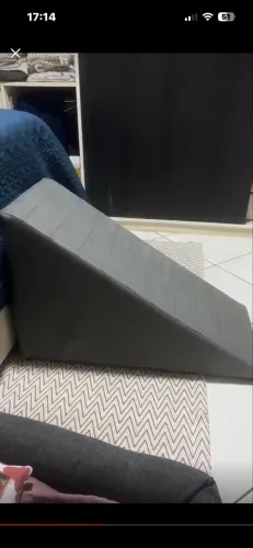 Rampa para cães