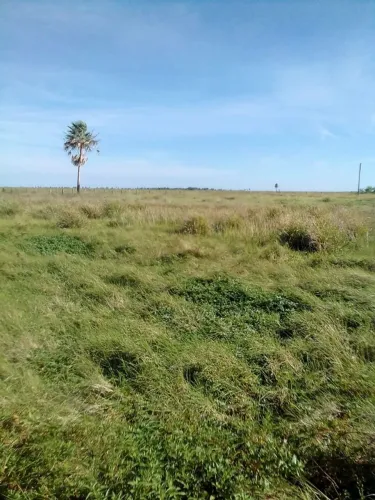 Fazenda no Paraguai 2.387 hec. 600hec de soja Valor dez milhões de dólares.