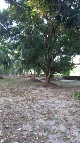 Sitio ao lado do Arena Iguiba e Na Estrada do Val Paraíso