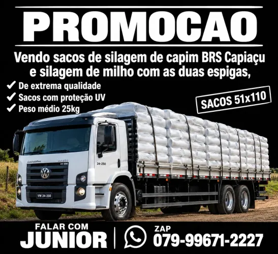 SILO DO CAPIAÇU EM ARACAJU SILAGEM DE CAPIM PERFEITA