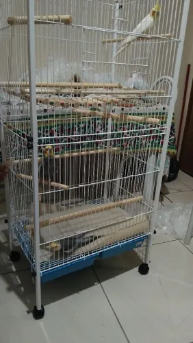 Gaiola a venda 