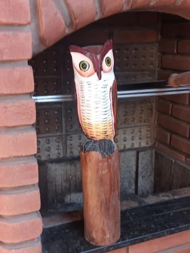 CORUJA GIGANTE EM MADEIRA  60cm ARTE ÚNICA