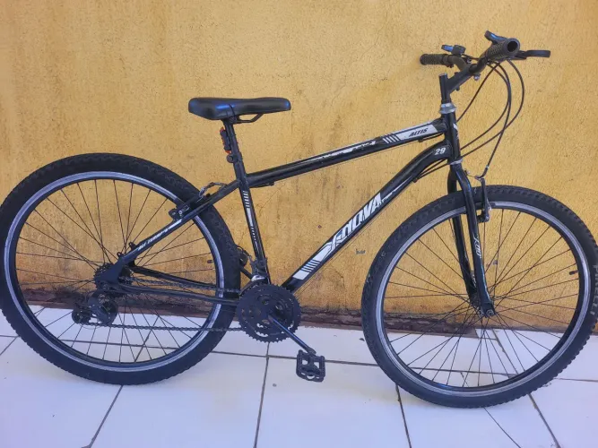 Bicicleta Aro 29