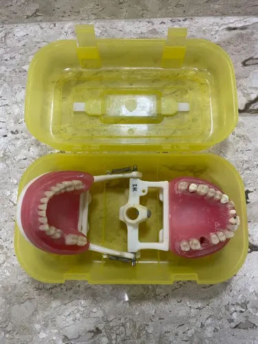 Manequim Pronew Dentistica