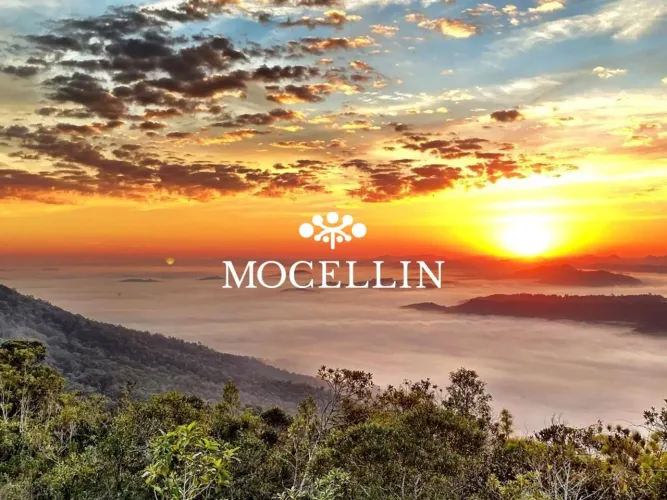 Terrenos de alto padrão à venda em São Luiz do Purunã /Mocellin Imóveis