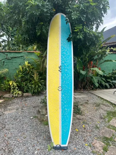 Prancha Longboard