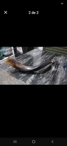 Vendo shofar importado de israel 2011