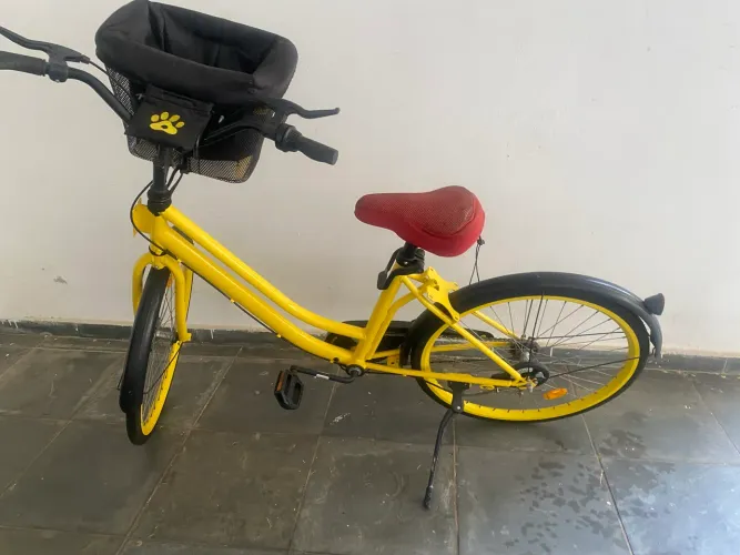 Bicicleta passeio