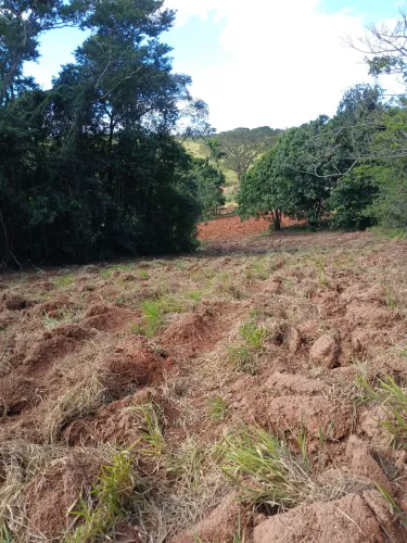 Sitio em Brumadinho 