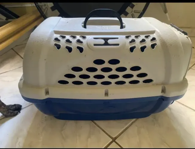 Coisas para cachorros