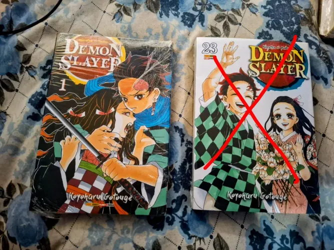 Demon Slayer vol 1 e último volume ! (Leia a descrição!)