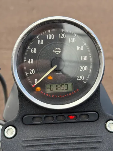 Iron 883