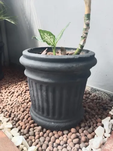 Vaso de Planta 50x42 (6 vasos)