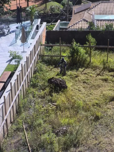 Limpeza e higienização