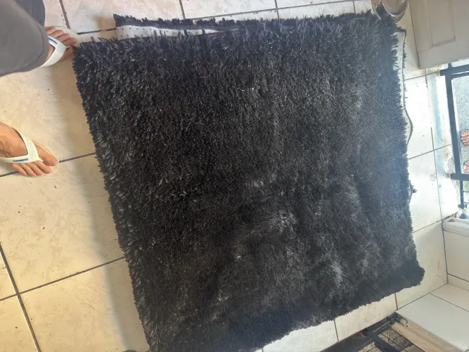 Tapete Preto - 2,45 x 2,43