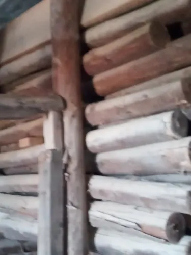 20 ESCORAS DE EUCALIPTO