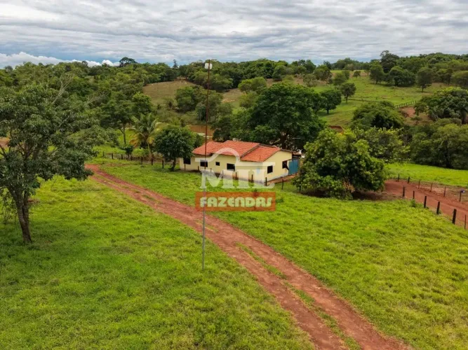 Fazenda 19,3 alqueires (93 hectares) Jaraguá - Go