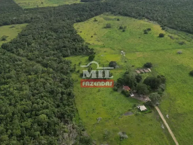 Fazenda 202 alqueires (977,68 hectares) Cristalândia - To