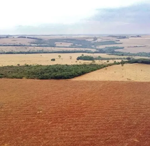 Fazenda 80 alq em Leopoldo de Bulhões